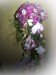 ruze a orchidej14.jpg